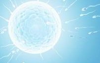 2026年做三代试管婴儿一般几次可以成功？可信吗？