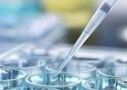 想生龙宝宝最晚什么时候怀孕？想生龙宝宝做试管可以吗