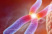 解密深圳试管婴儿步骤流程是什么，验孕随访千万不能忘